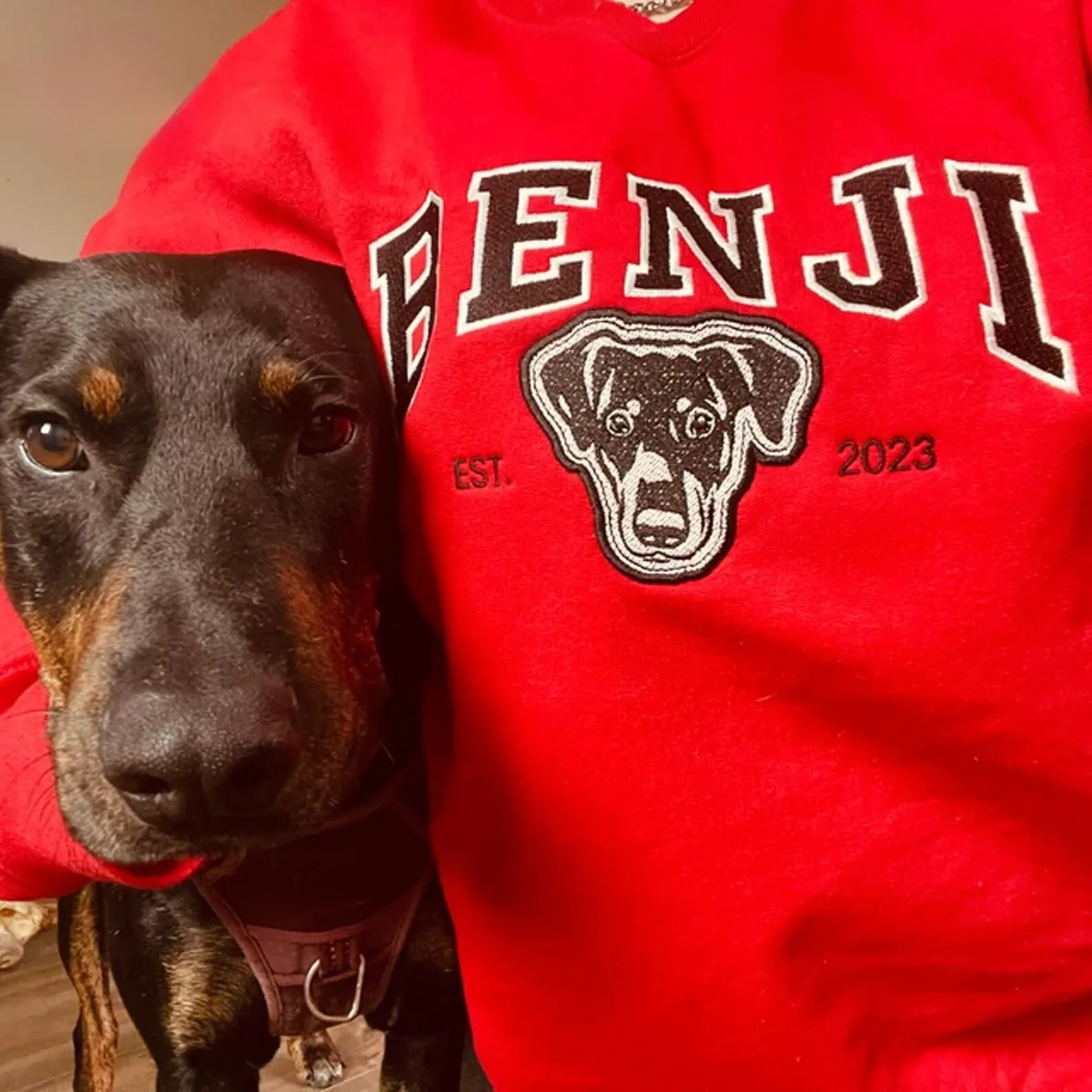 Custom Dog Sweatshirt  -  Custom Sweatshirt For Dog With Names