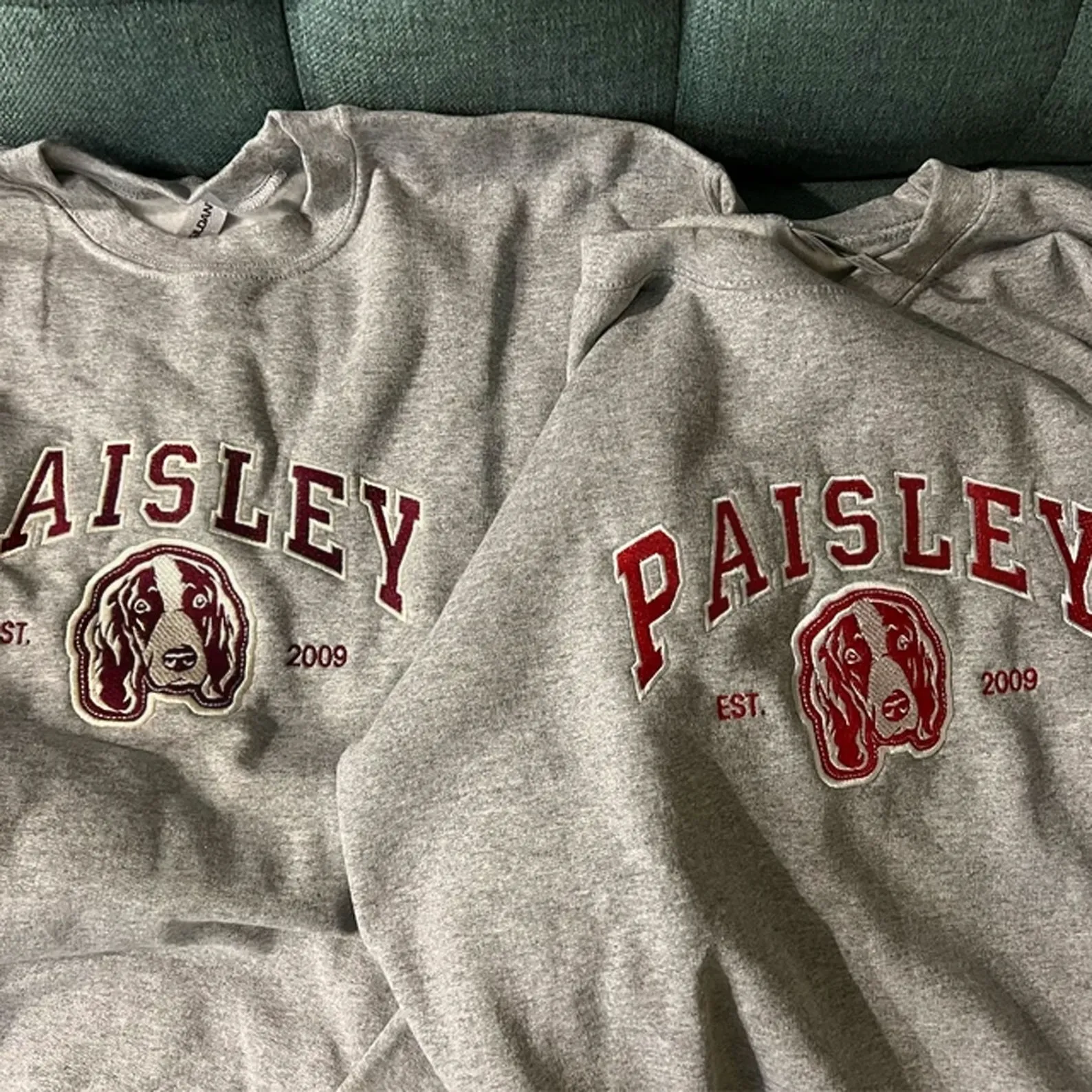 Custom Dog Sweatshirt  -  Custom Sweatshirt For Dog With Names
